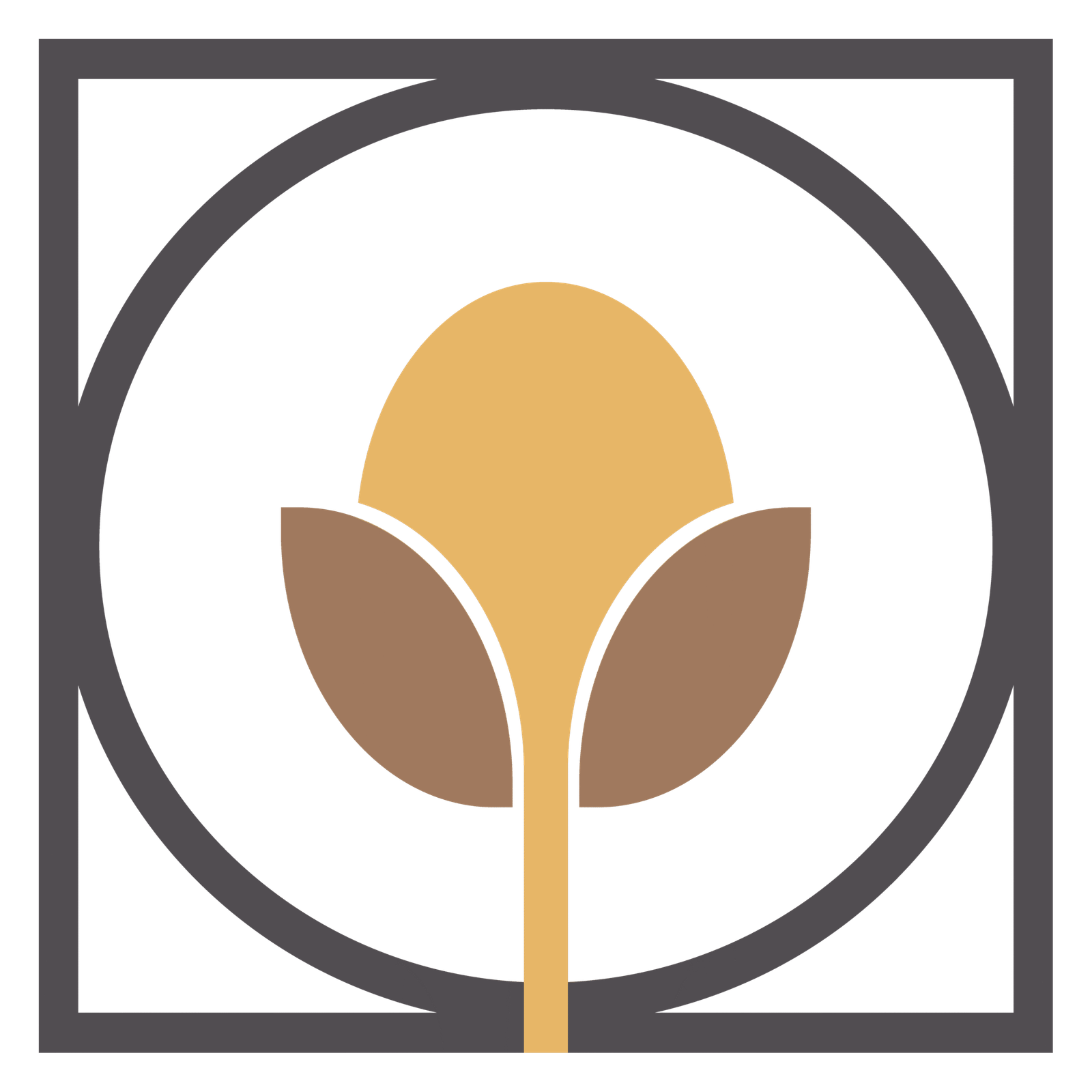 remireynier.com